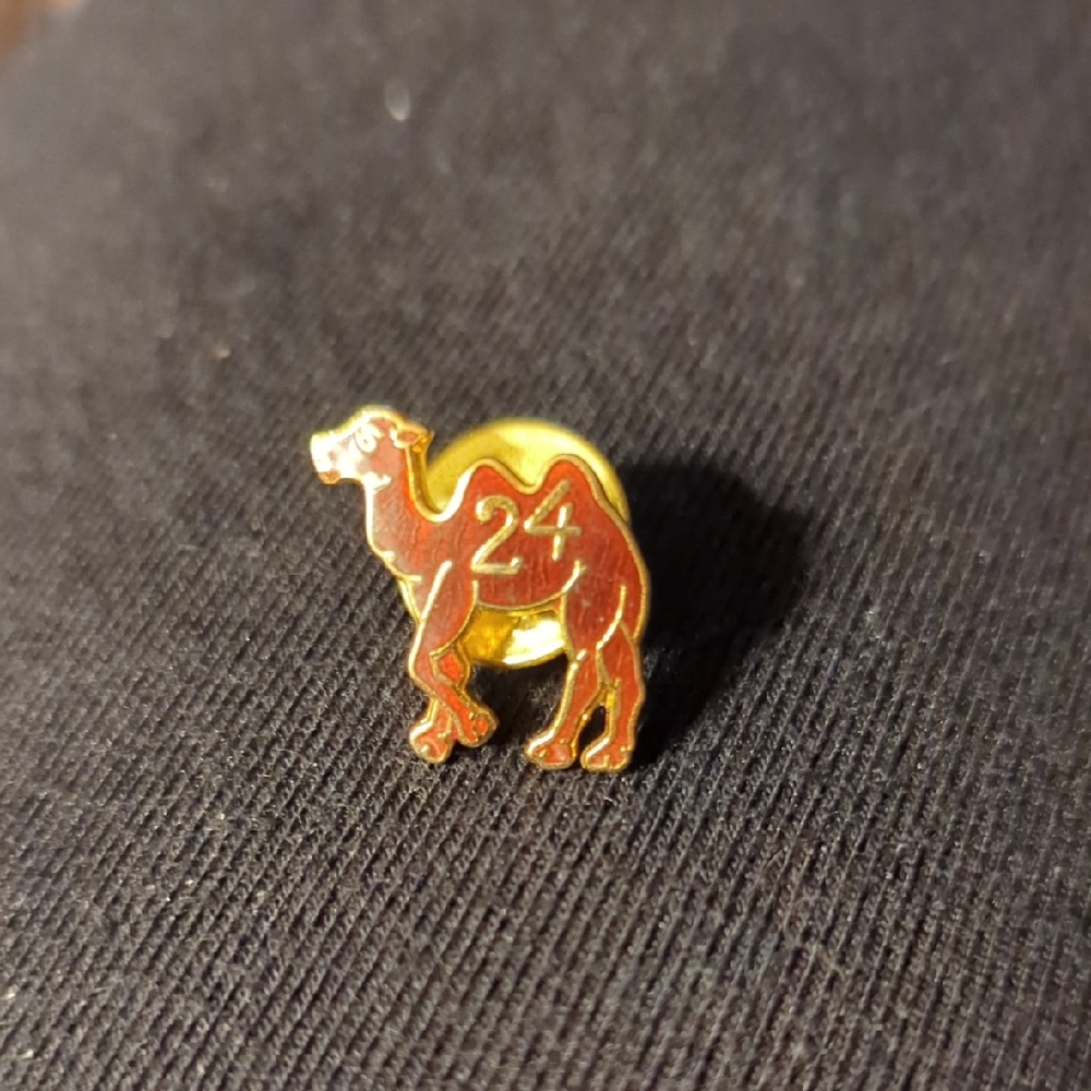 24 Hour Sobriety Lapel Pin AA